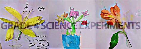 4 Science Experiments 的图像结果