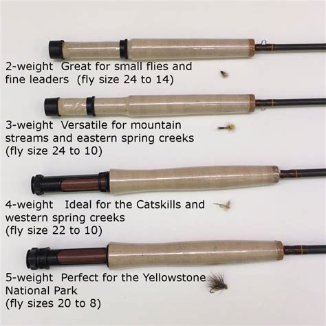 Image result for Fly Rod Length