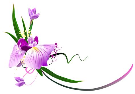 Vines clipart purple flower, Vines purple flower Transparent FREE for ...