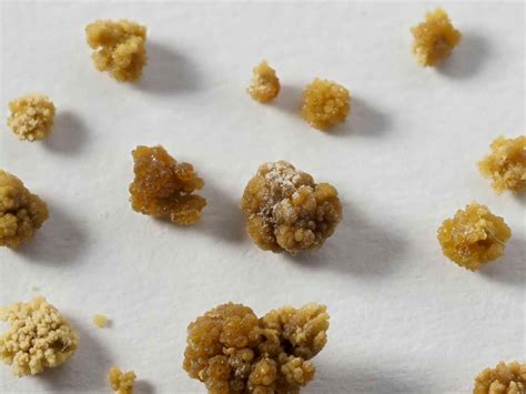 Nausea After Smoking Weed? Here’s Why | Herb