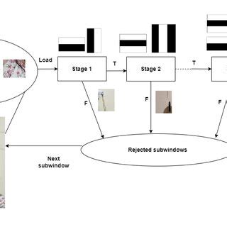 Image result for Cascade Classifier Training How To