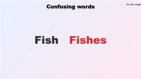 Image result for Fish vs Python