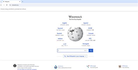 Image result for Web Bot Error Python