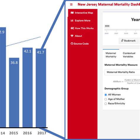 Maternal Mortality Ratio 的图像结果