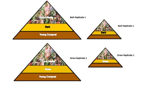 Image result for Randomized Complete Block Design Example