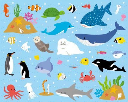 Image result for Plastic Box Spring File
