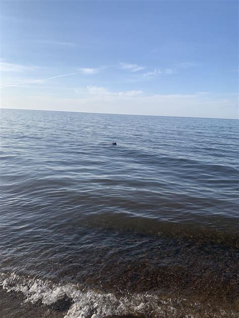 Cold Water experience and getting over fear of deep water. : r/davidgoggins