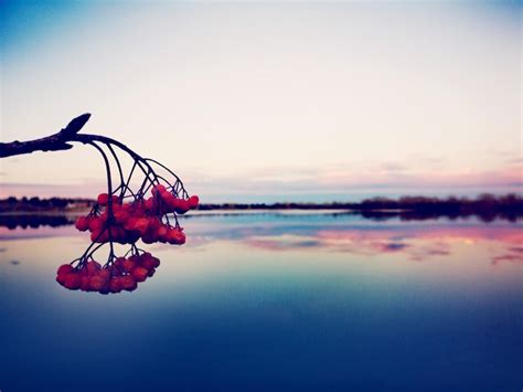 Images de Fond ecran diaporama – Téléchargement gratuit sur Freepik