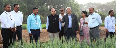 University of Agricultural Sciences, Dharwad