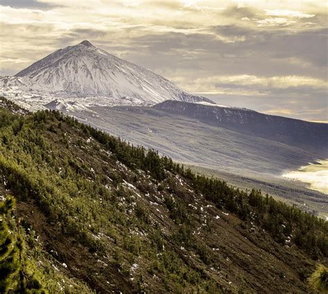 Volcan Espagnol 的图像结果