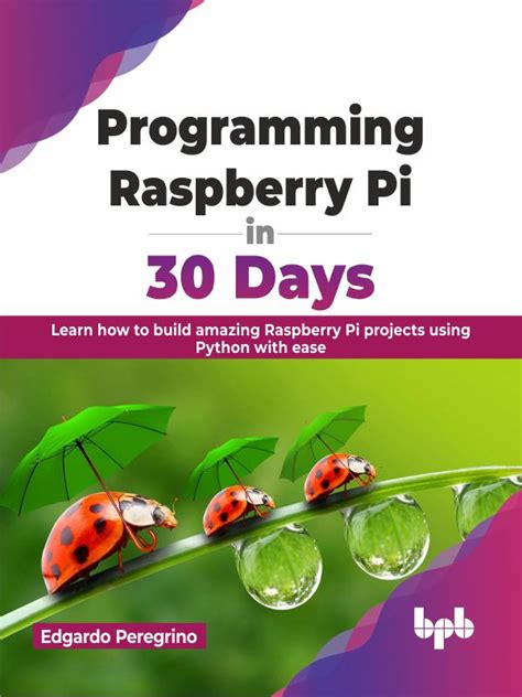 Programming Raspberry Pi in 30 Days – BPB Online