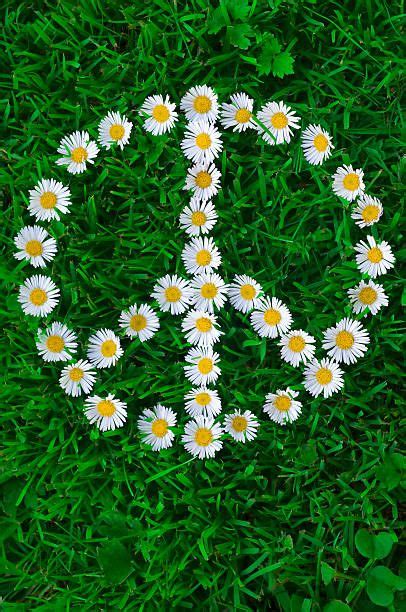 Flower Power 的图像结果