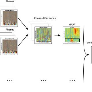 Image result for Phase of Locking Structure