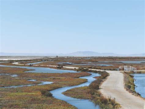 Parks on East Bay's Front Line - Bay Nature