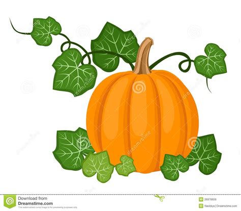 Pumpkin Vine Leaf
