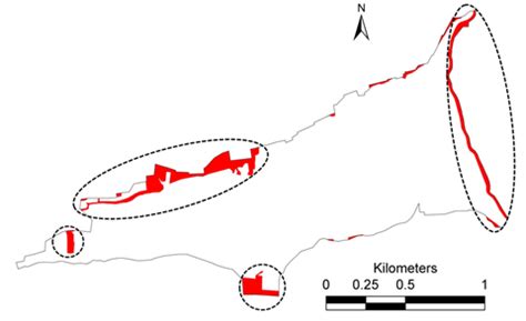 pathetic status of wetlands in bangalore