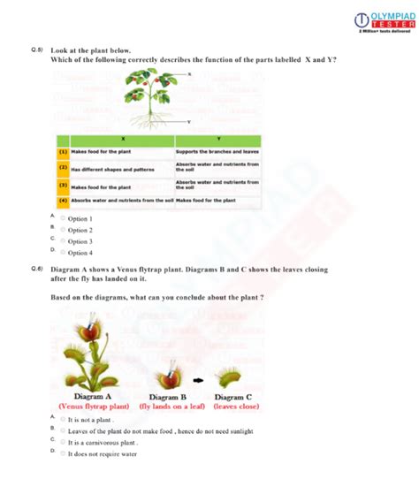 Image result for Class 2 Science Plant