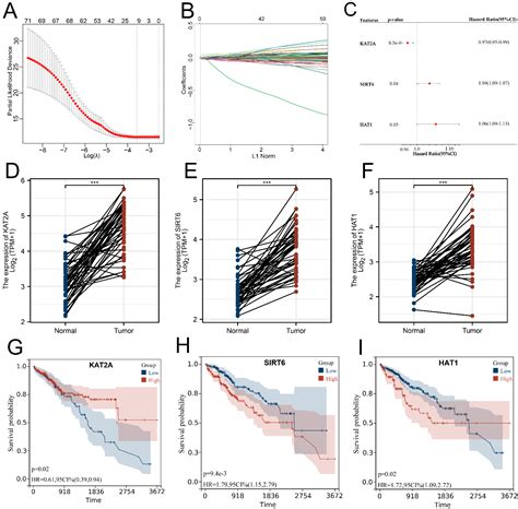The Prognostic and Therapeutic Role of Histone Acetylation Modification ...