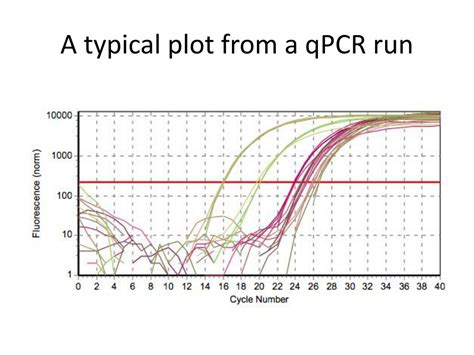 RNA Transcript Graph 的图像结果