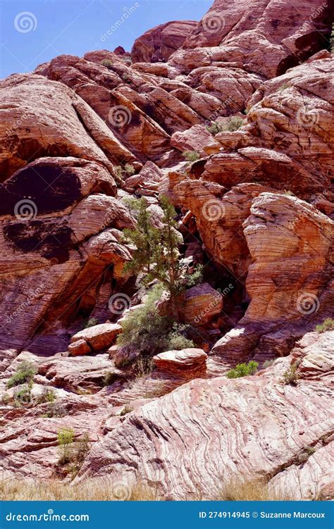 Calico Basin, Red Rock Conservation Area, Southern Nevada, USA Stock ...