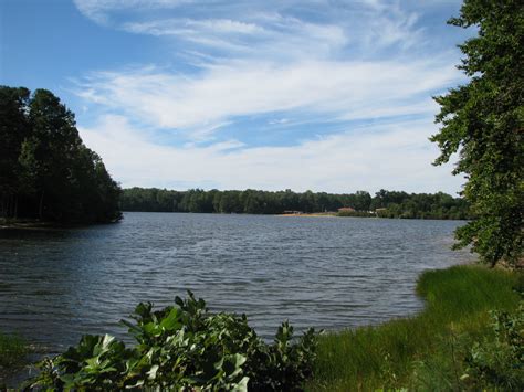 Elevation of Center Dr, Ruther Glen, VA, USA - Topographic Map ...