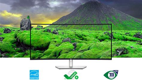 Monitors for Computers & PCs | Dell India