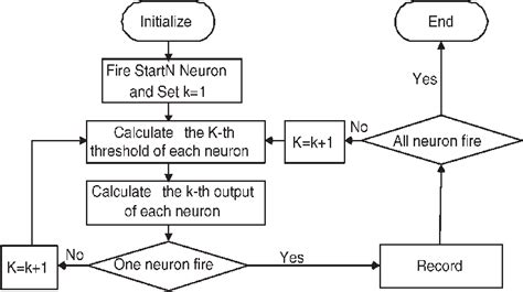 Image result for BSPT Course