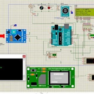 Project Simulation 的图像结果