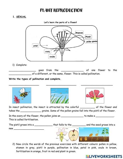 Image result for Vegetative Reproduction Class 5 Activity