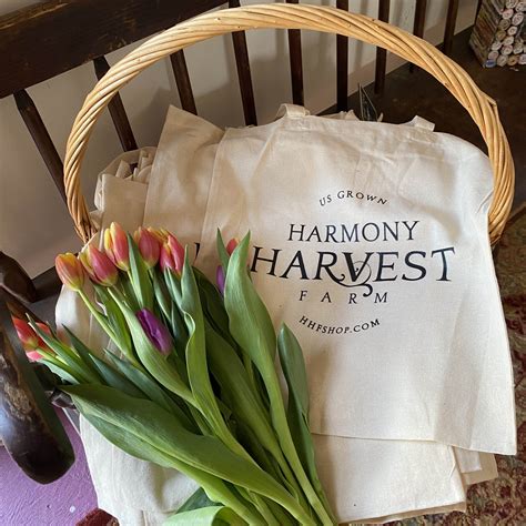 Why Flower Farmers Treat Tulips as Annuals Instead of Perennials ...