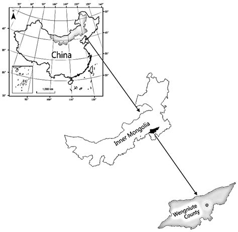 Quantitative Investigations of Water Balances of a Dune-Interdune ...