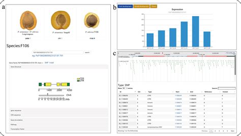 Image result for Gene Annotation Assignment