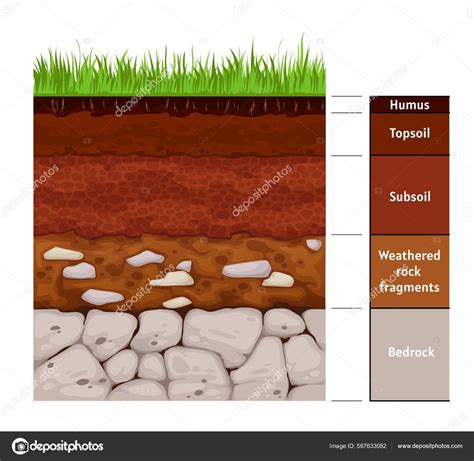 Soil Layer Infographic Earth Geology Formation Bedrock Weathered Rock ...