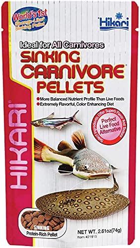 Hikari Sinking Carnivore Fish Food, 74g : Amazon.in: Pet Supplies