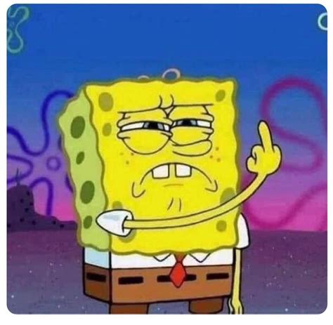 SpongeBob middle finger up | Spongebob bilder, Lustiger ...