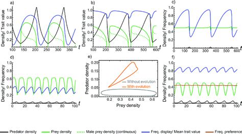 Image result for Predator-Prey Cycles