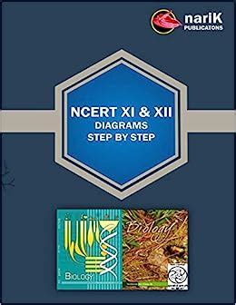 Buy NCERT XI and XII biology diagrams step by step: Biology diagrams in ...