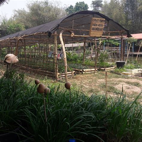 THE 10 BEST Breakfast Restaurants in Chiang Rai - Tripadvisor