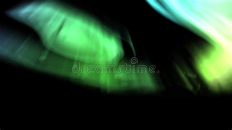 Rezultat imagine pentru Sapling Animation