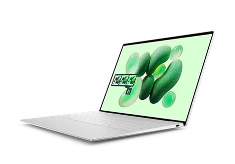 Dell XPS 13 Laptop 的图像结果