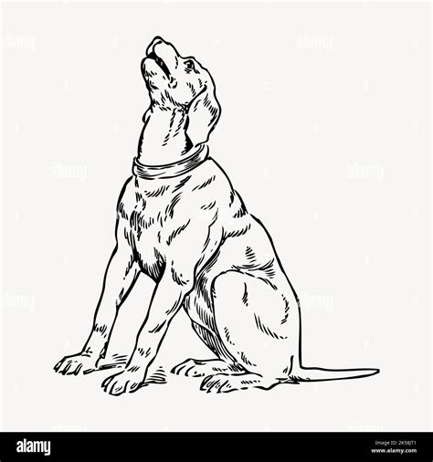 Image result for Time Machine Dog Drawing