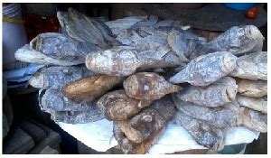 'Formalin koobi': Arrest perpetrators – Doctor