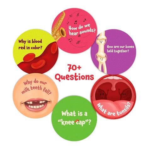 Skillmatics Science Snippets - The Human Body — Toycra