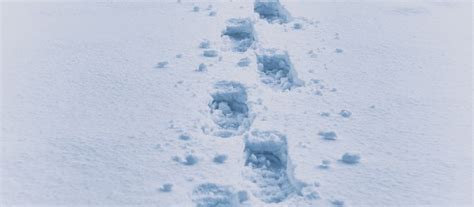 Image result for Python Print Stack Trace