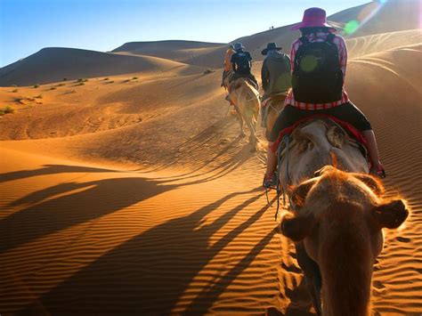 在腾格里沙漠经历了人生第一次沙漠探险