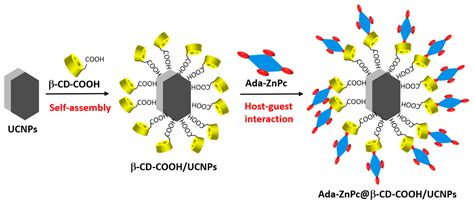 Use of Cyclodextrins in Anticancer Photodynamic Therapy Treatment