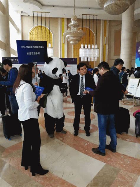 熊猫到底是熊还是猫？-媒体关注-新闻中心-中国出版集团公司