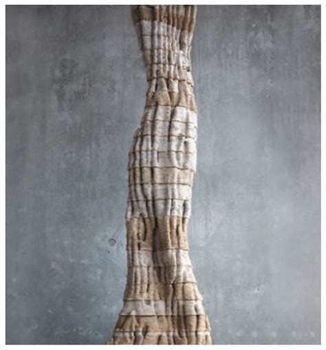 Transcalar Design: An Approach to Biodesign in the Built Environment