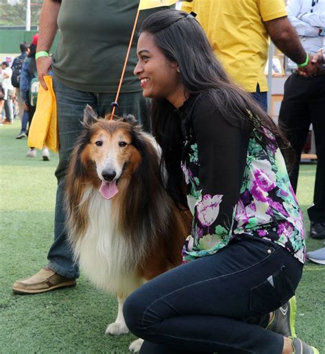 Purr-fect! Pets enjoy their day out - Rediff.com Get Ahead