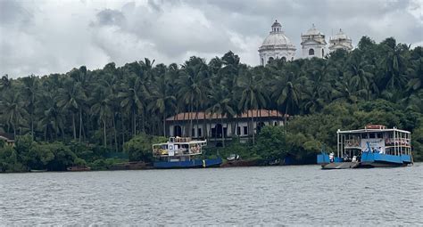 Image result for Goa Fusion